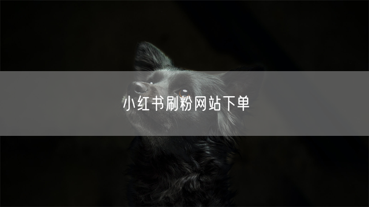 小红书刷粉网站下单