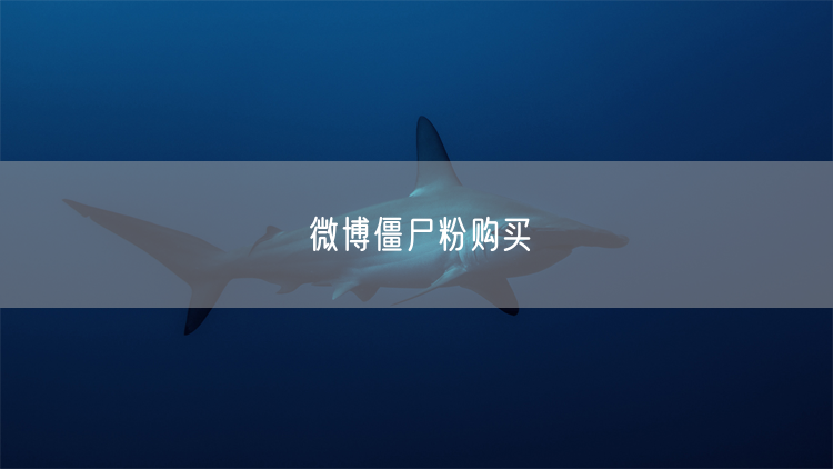 微博僵尸粉购买
