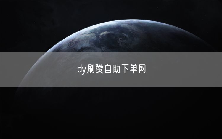 dy刷赞自助下单网