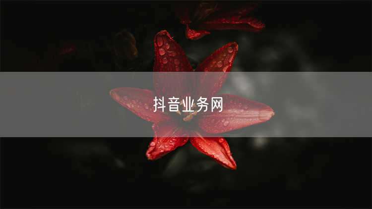 抖音业务网