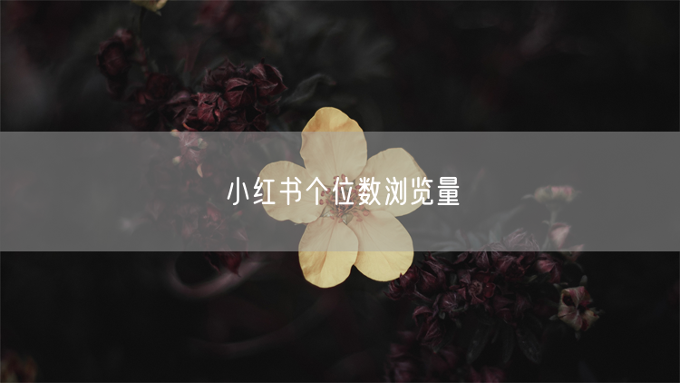 小红书个位数浏览量