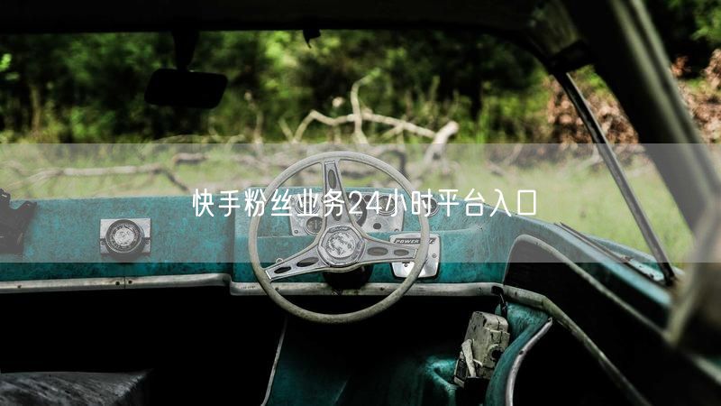 快手粉丝业务24小时平台入口