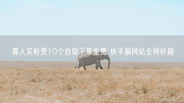 真人买粉赞10个自助下单免费 快手刷网站全网秒刷
