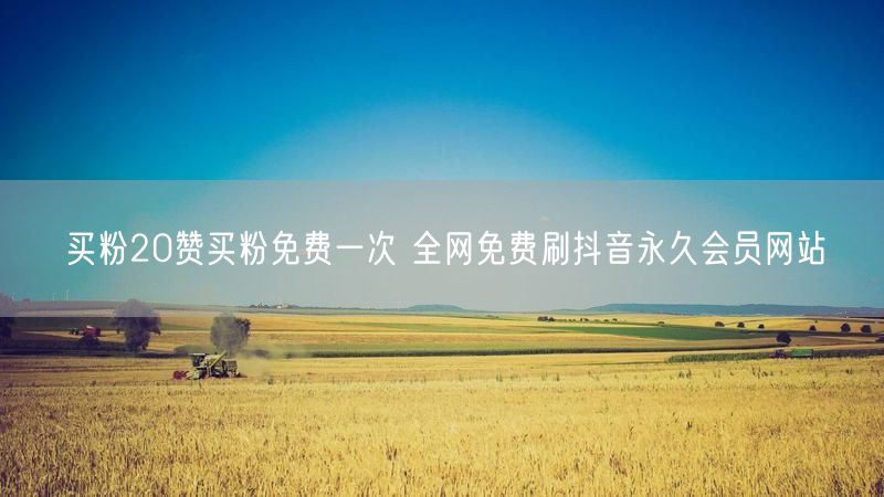买粉20赞买粉免费一次 全网免费刷抖音永久会员网站