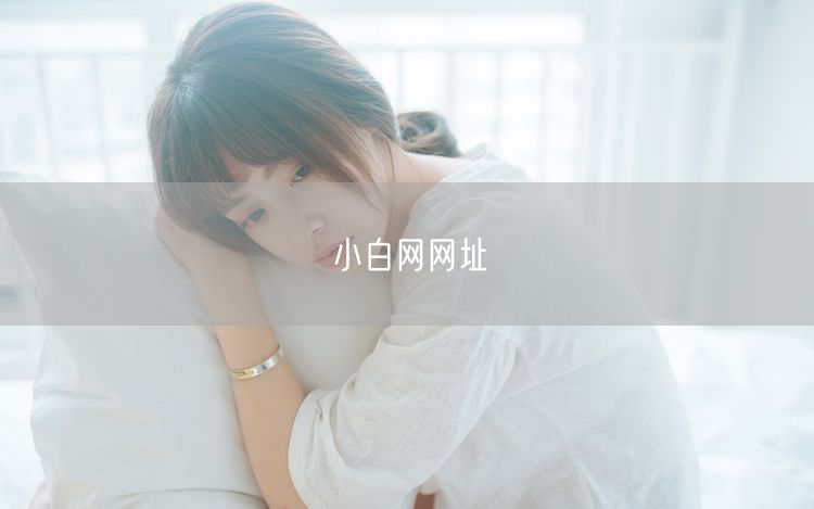 小白网网址