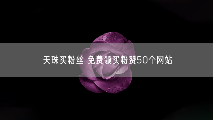 天珠买粉丝 免费领买粉赞50个网站