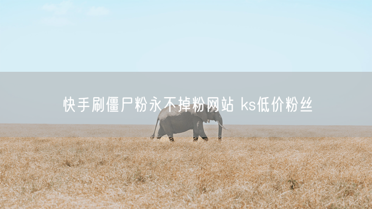 快手刷僵尸粉永不掉粉网站 ks低价粉丝