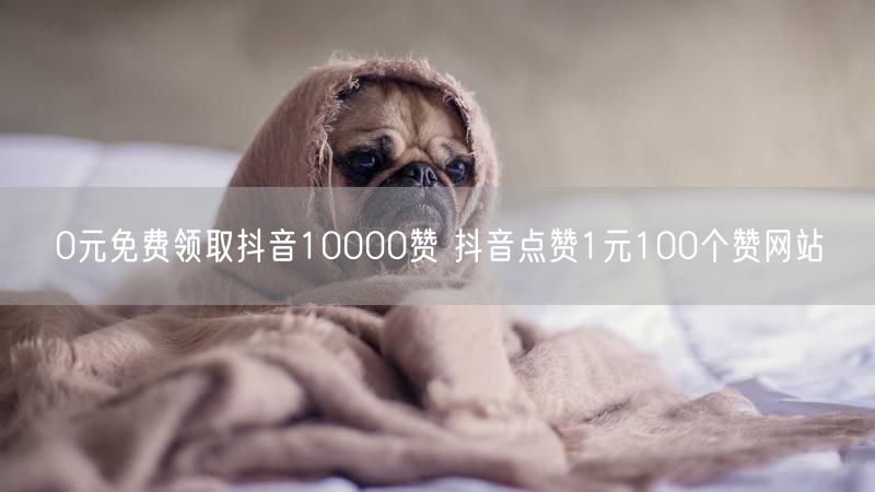 0元免费领取抖音10000赞 抖音点赞1元100个赞网站
