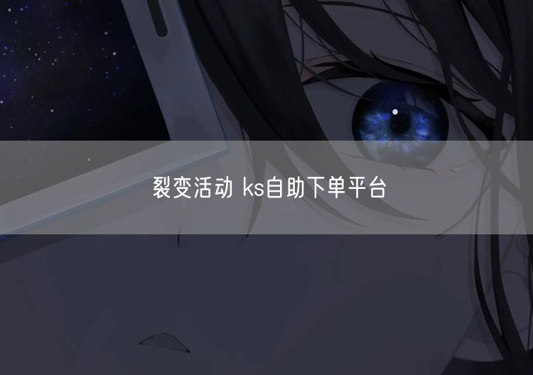 裂变活动 ks自助下单平台