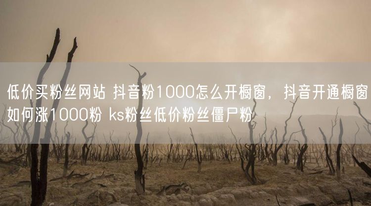 低价买粉丝网站 抖音粉1000怎么开橱窗，抖音开通橱窗如何涨1000粉 ks粉丝低价粉丝僵尸粉