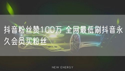 抖音粉丝赞100万 全网最低刷抖音永久会员买粉丝