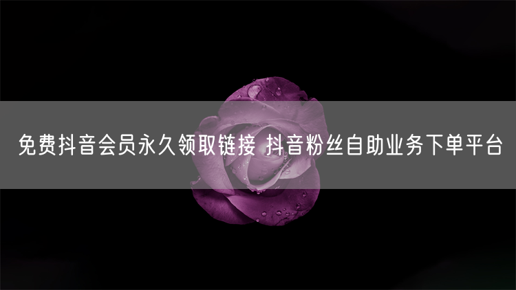 免费抖音会员永久领取链接 抖音粉丝自助业务下单平台