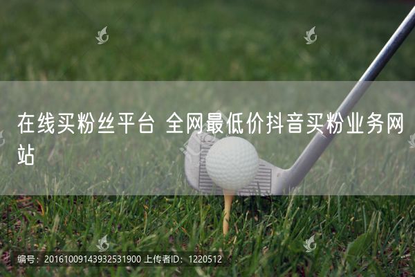 在线买粉丝平台 全网最低价抖音买粉业务网站