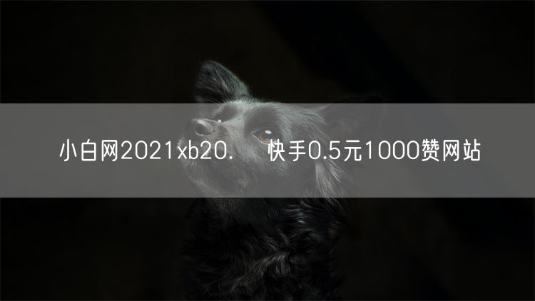 小白网2021xb20.㏄ 快手0.5元1000赞网站