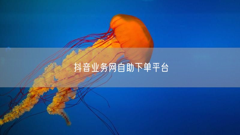 抖音业务网自助下单平台
