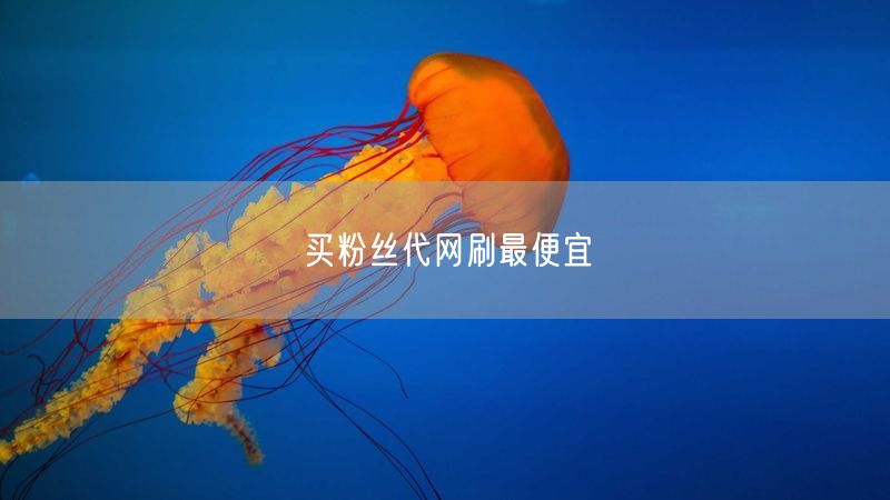 买粉丝代网刷最便宜