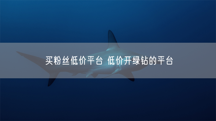 买粉丝低价平台 低价开绿钻的平台