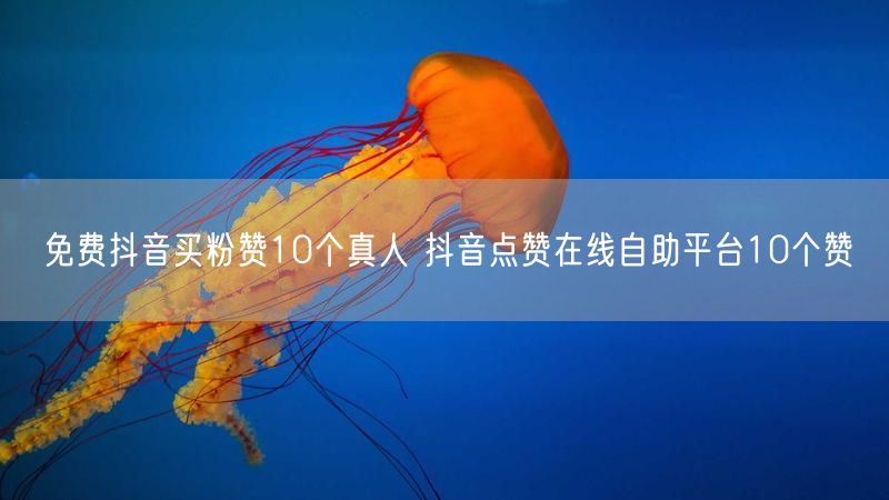 免费抖音买粉赞10个真人 抖音点赞在线自助平台10个赞