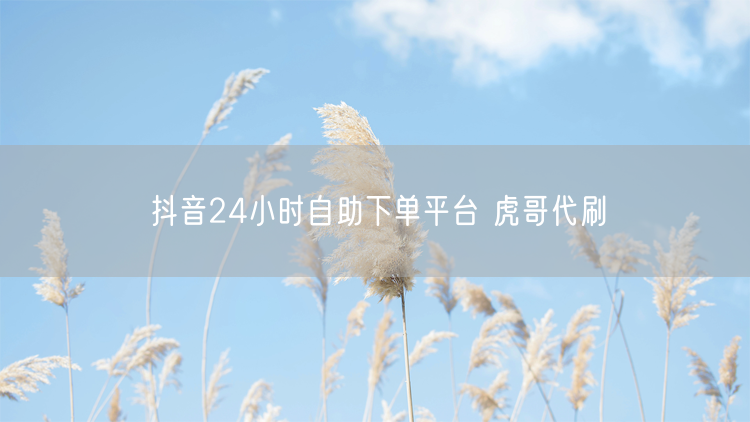 抖音24小时自助下单平台 虎哥代刷