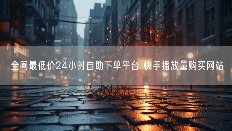 全网最低价24小时自助下单平台 快手播放量购买网站