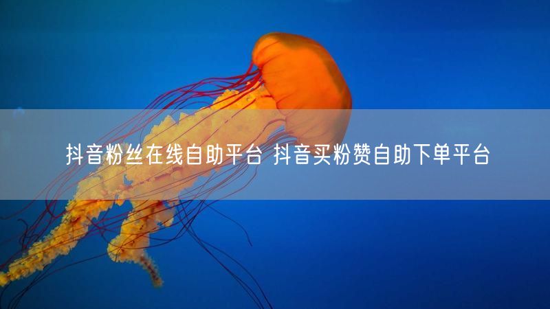 抖音粉丝在线自助平台 抖音买粉赞自助下单平台