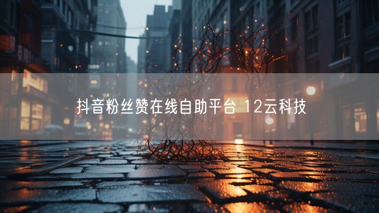 抖音粉丝赞在线自助平台 12云科技