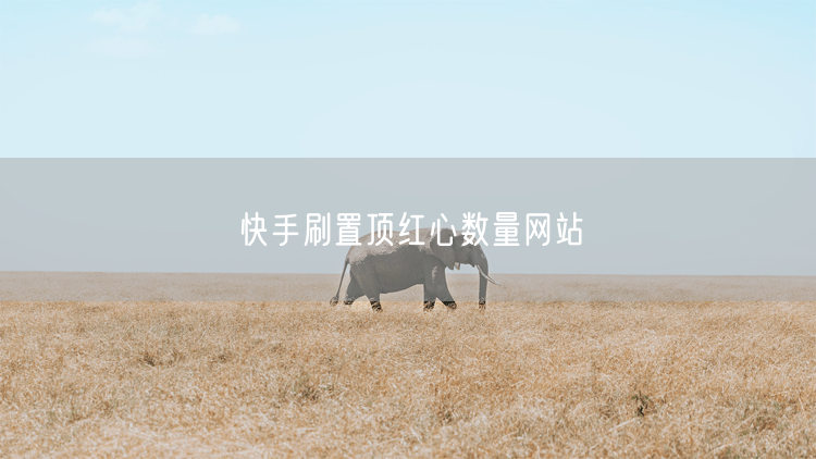 快手刷置顶红心数量网站