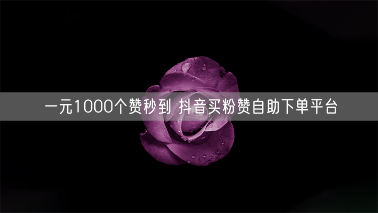 一元1000个赞秒到 抖音买粉赞自助下单平台
