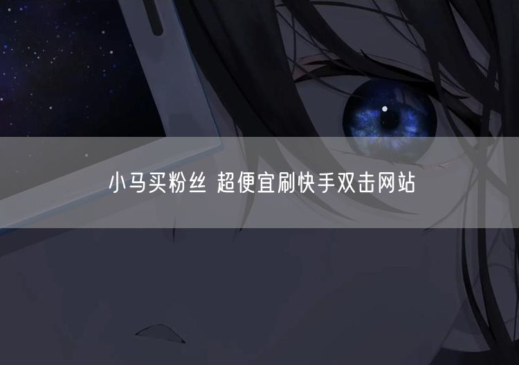 小马买粉丝 超便宜刷快手双击网站