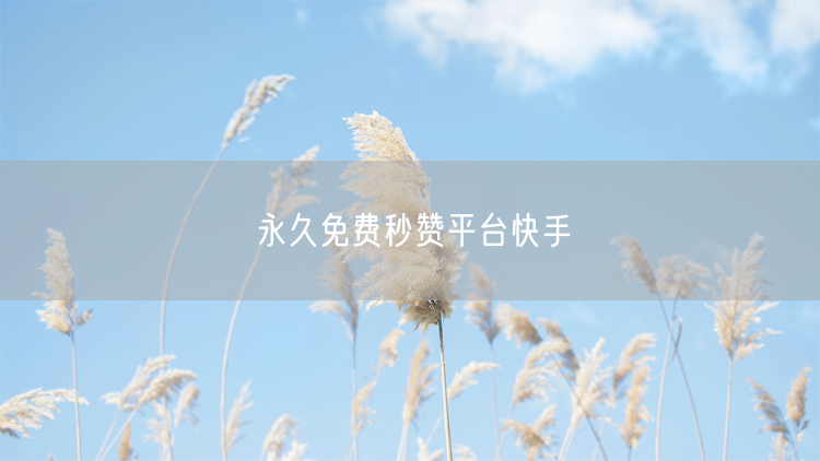永久免费秒赞平台快手