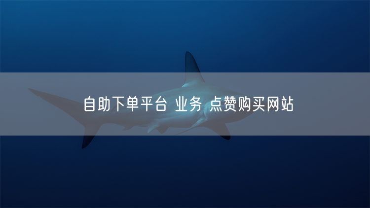 自助下单平台 业务 点赞购买网站