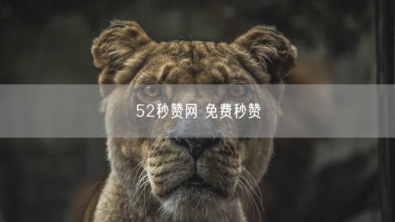 52秒赞网 免费秒赞