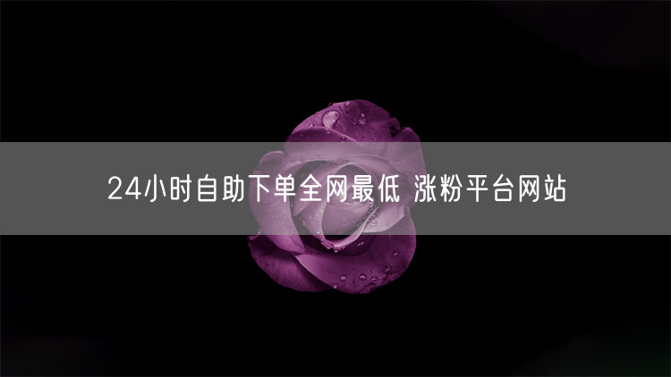 24小时自助下单全网最低 涨粉平台网站
