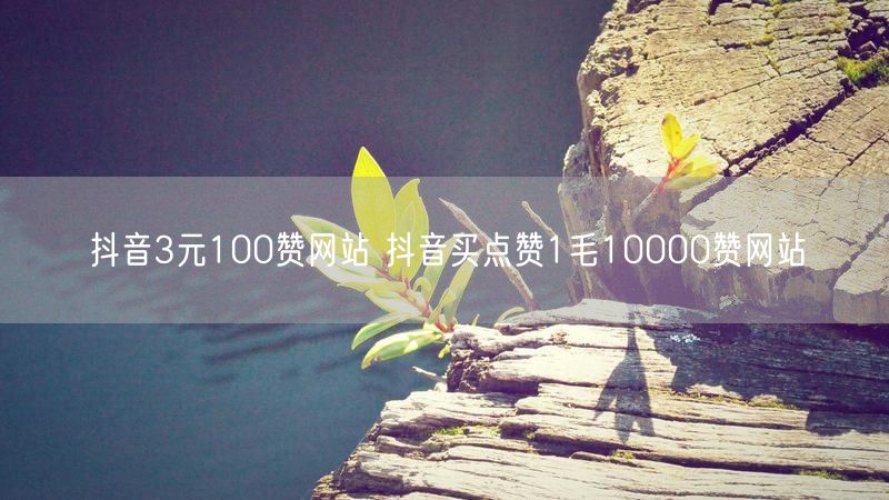 抖音3元100赞网站 抖音买点赞1毛10000赞网站
