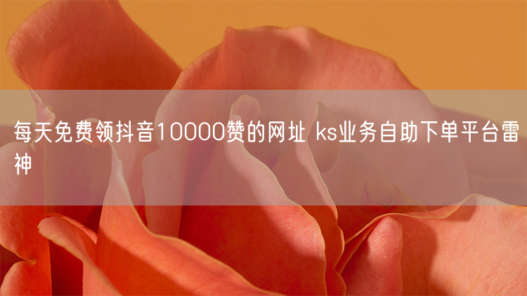 每天免费领抖音10000赞的网址 ks业务自助下单平台雷神