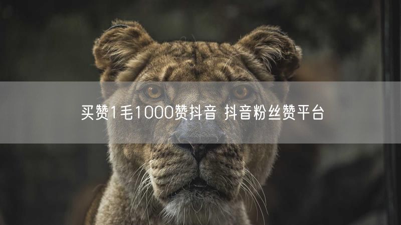 买赞1毛1000赞抖音 抖音粉丝赞平台