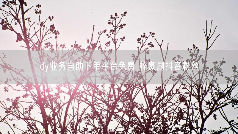 dy业务自助下单平台免费 梓豪刷抖音粉丝