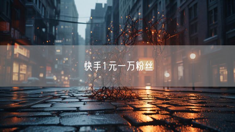 快手1元一万粉丝
