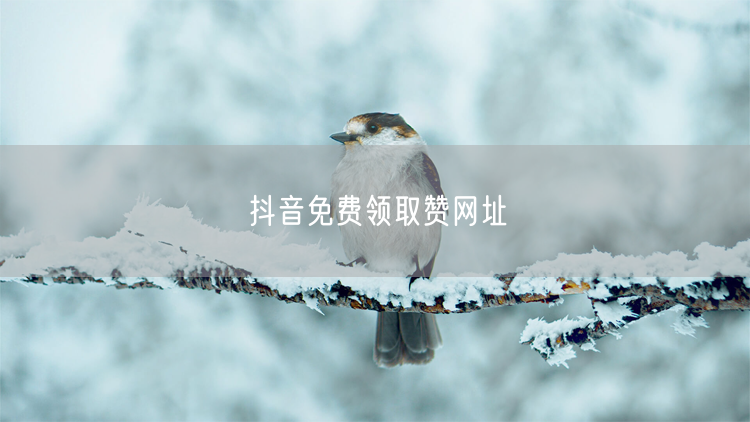 抖音免费领取赞网址