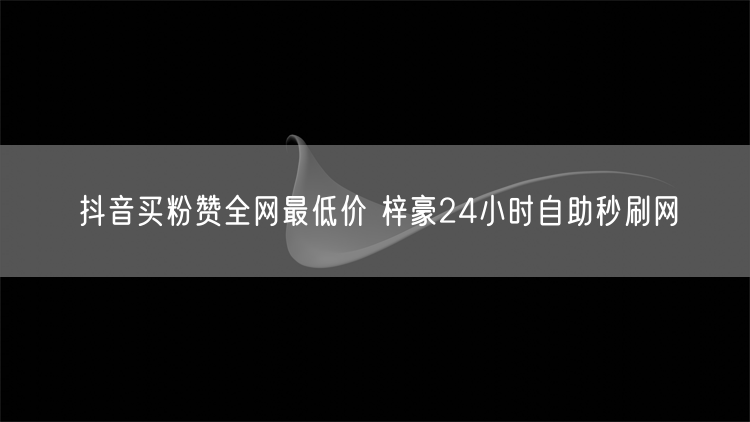 抖音买粉赞全网最低价 梓豪24小时自助秒刷网