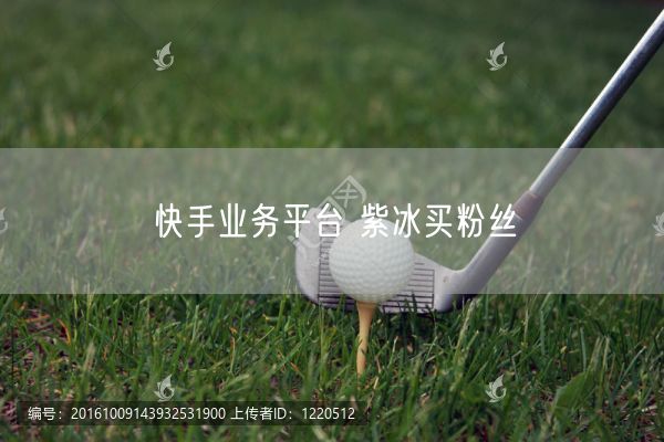 快手业务平台 紫冰买粉丝