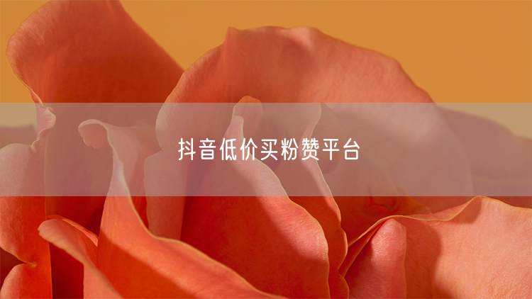 抖音低价买粉赞平台