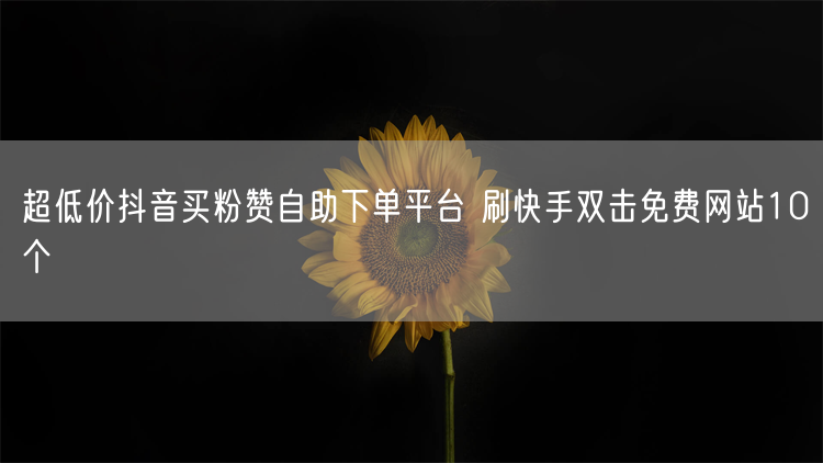 超低价抖音买粉赞自助下单平台 刷快手双击免费网站10个