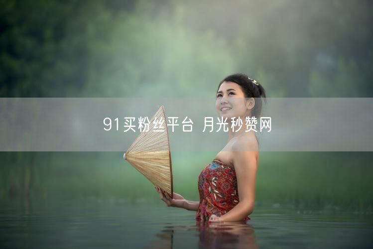 91买粉丝平台 月光秒赞网