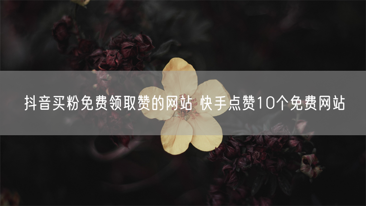 抖音买粉免费领取赞的网站 快手点赞10个免费网站