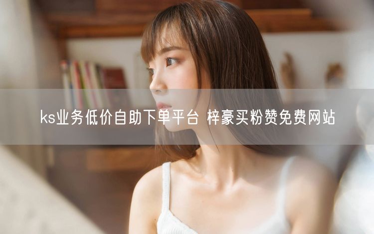 ks业务低价自助下单平台 梓豪买粉赞免费网站