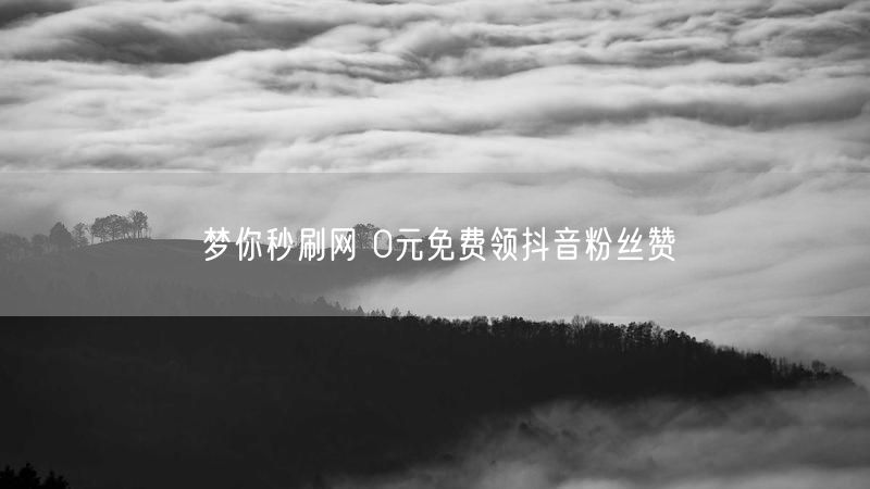 梦你秒刷网 0元免费领抖音粉丝赞
