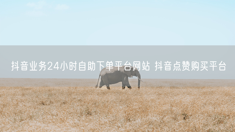 抖音业务24小时自助下单平台网站 抖音点赞购买平台
