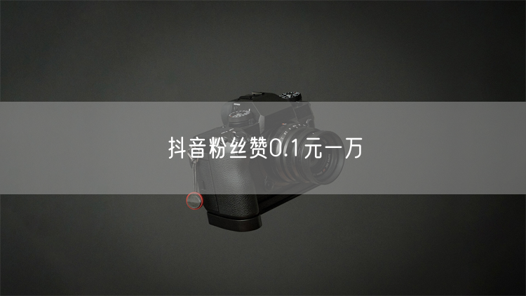 抖音粉丝赞0.1元一万