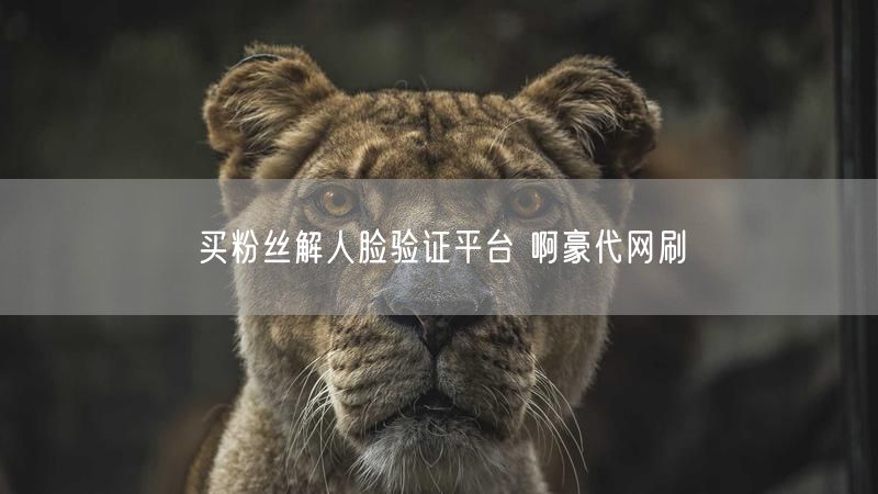 买粉丝解人脸验证平台 啊豪代网刷